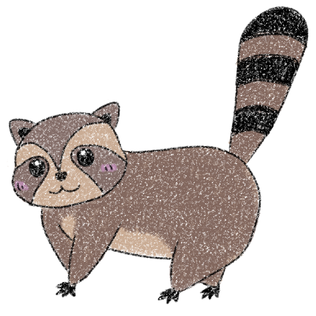 アライグマのイラスト