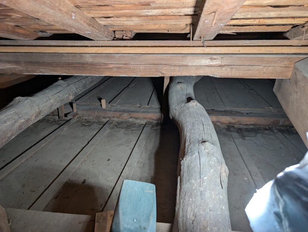 糞清掃
