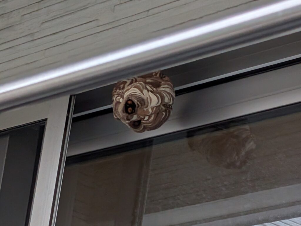 ベランダの窓枠にできた巣(屋外から)